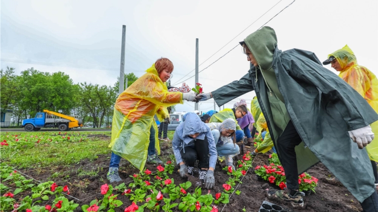 Навстречу 550-летию: в Чебоксарах появятся цветочные ковры с национальными узорами