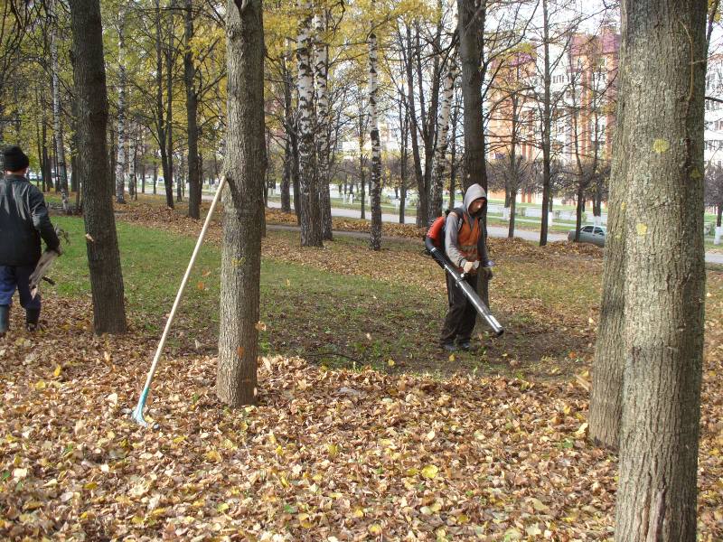 Использование прогрессивных технологий уборки опавших листьев в городе.
